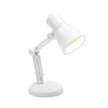 Flexible LED Desk Lamp Night Light with Angle Adjustment